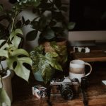 unsplash_402.jpg