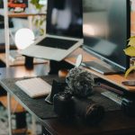 Фриланс в 2024: какие профессии востребованы и как заработать удаленно