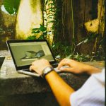 Профсоюз фрилансеров: как защитить свои права в цифровой экономике unsplash_484.jpg