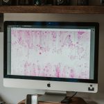 Как выбрать платформу для фриланса: отзывы о фриланс-платформах unsplash_81.jpg